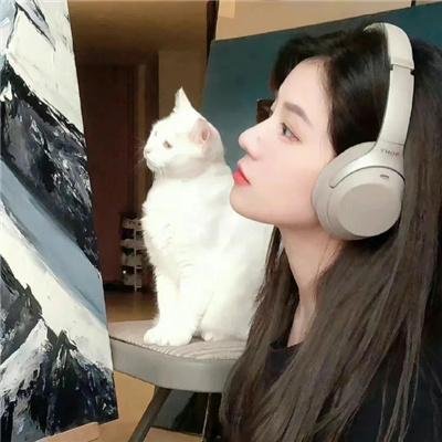 血婚新娘封面