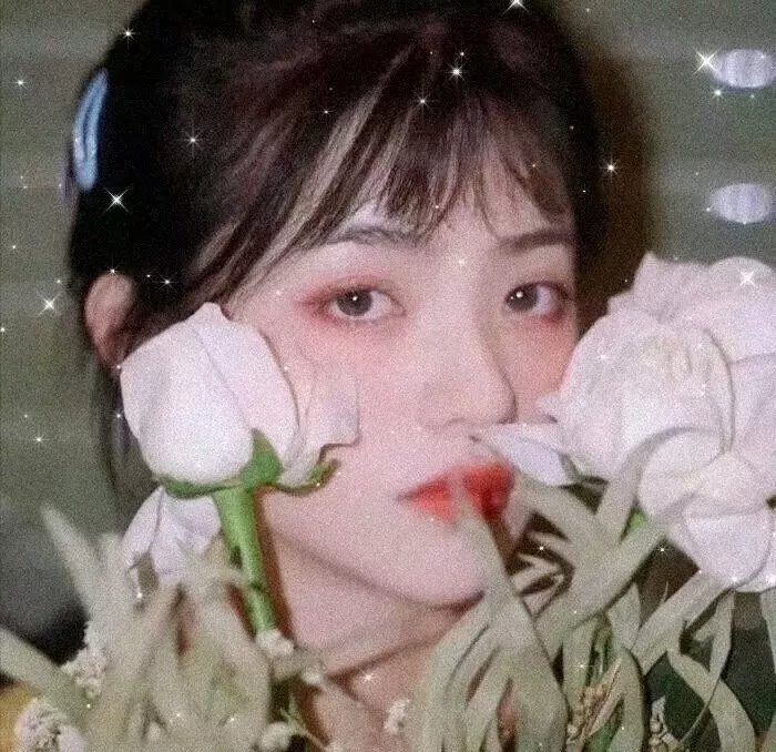 最后一个婚礼封面